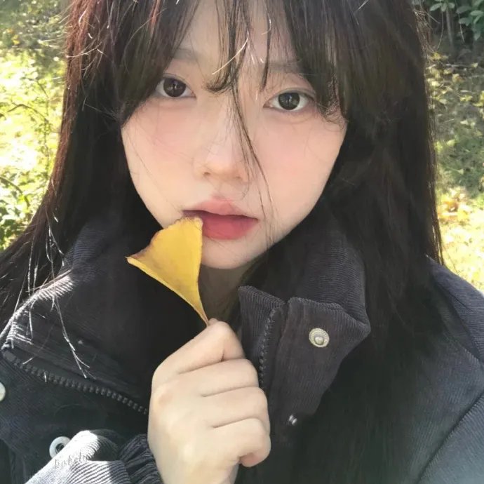 樱花庄的宠物女孩